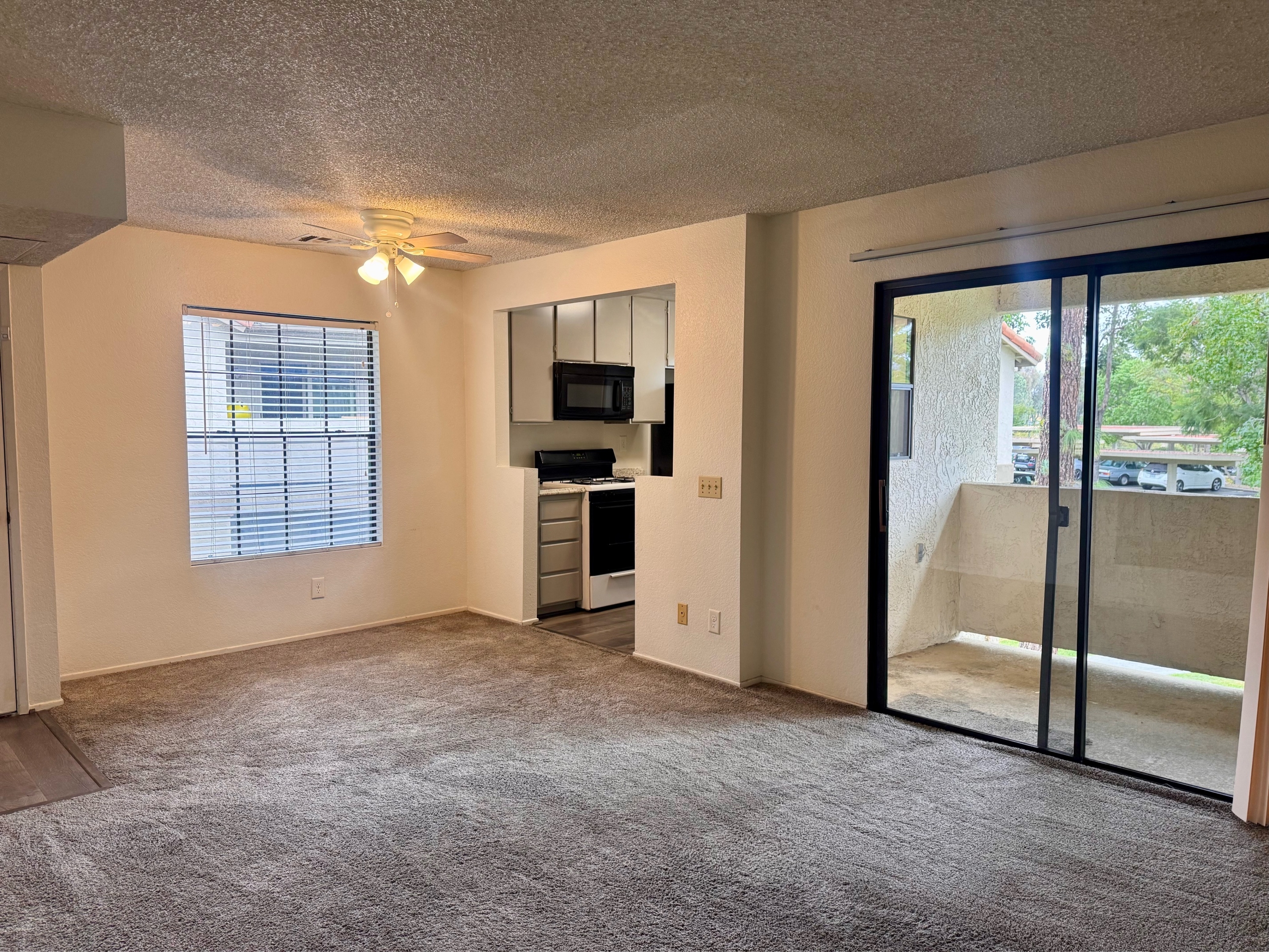 10305 Azuaga Street - 18